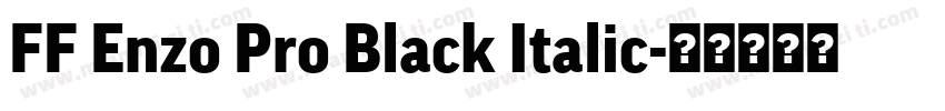 FF Enzo Pro Black Italic字体转换